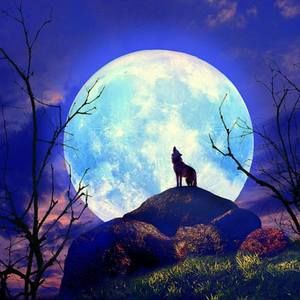 Meet your Posher, Mi sun